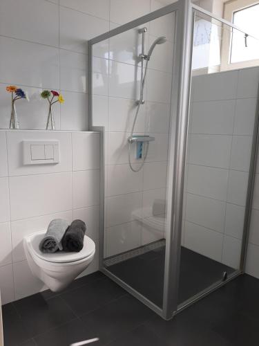 栋堡Aanloop 34的浴室配有淋浴间和卫生间。