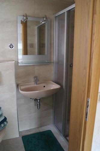 巴特戈特洛伊巴Ferienhaus Dani的一间带水槽、镜子和淋浴的浴室