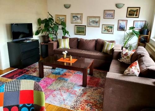 萨拉热窝Apartment Noah的带沙发和咖啡桌的客厅
