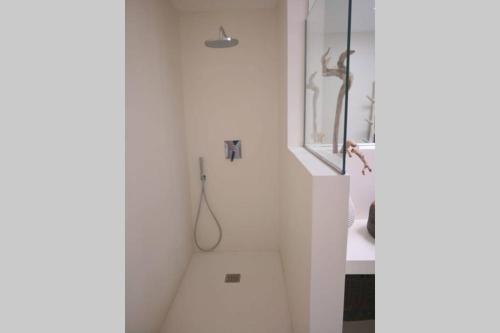 特吉塞La Croce dei Venti (VV)的带淋浴和盥洗盆的白色浴室