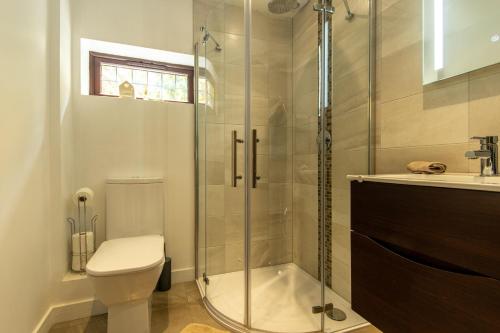 哈特菲尔德The Mills Guesthouse Hatfield的带淋浴、卫生间和盥洗盆的浴室