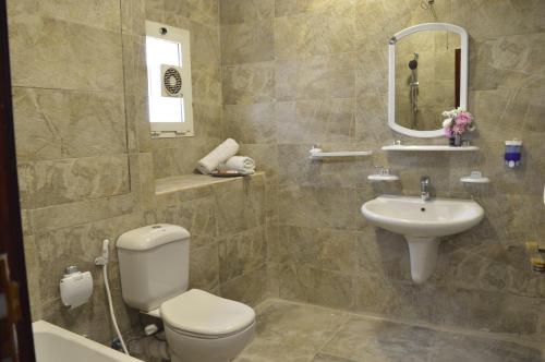 开罗Nile View Inn的一间带卫生间、水槽和镜子的浴室