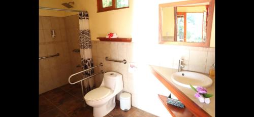 TilaránLa Ceiba Tree Lodge的浴室配有卫生间、盥洗盆和淋浴。