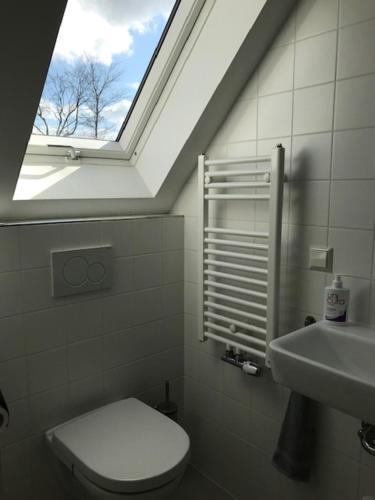 诺德克豪特Vlasoven loft的浴室设有窗户、卫生间和水槽。