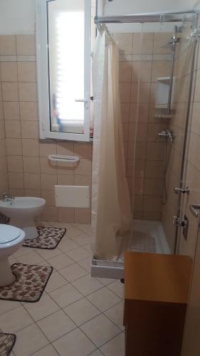 莱乌卡Appartamenti Maraneddhe的带淋浴和卫生间的浴室