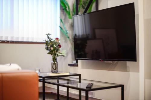 东京Ken's Place Azabudai的客厅配有电视和花瓶。