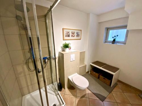 布吕根4*+ Maisonette-Apartment的带淋浴、卫生间和盥洗盆的浴室