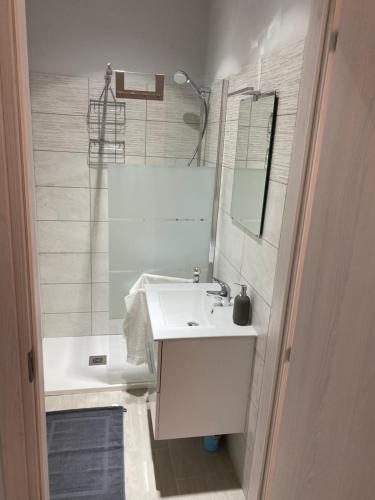 坎波内莱尔巴Moonlight Apartament的白色的浴室设有水槽和淋浴。