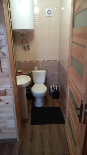 斯拉夫西克Біля лісу Шале з двома спальнями的一间带卫生间和水槽的浴室