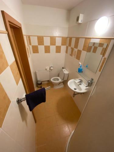 Česká Ves兹拉蒂克鲁姆酒店的一间带卫生间和水槽的小浴室
