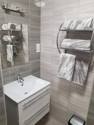 赫维兹Flamingó Apartmanház的浴室配有盥洗盆、镜子和毛巾