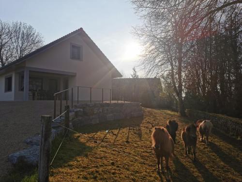 勒菲耶La Maison du Colombier的一群马站在房子附近的田野上