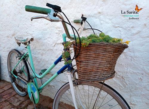 伊萨La Sarita, Hospedaje rural.的一辆自行车,上面有植物篮子