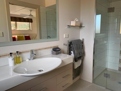 克伦威尔伯恩小屋乡村民宿的一间带水槽和玻璃淋浴的浴室