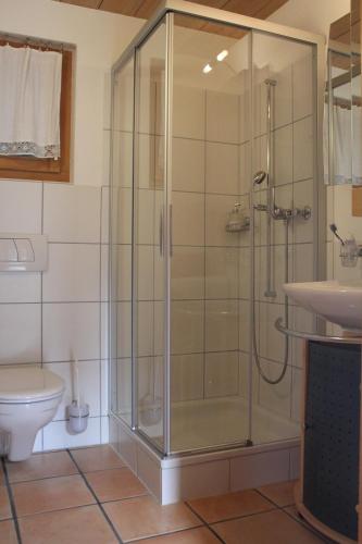 迈林根登科尔布拉茅斯酒店的带淋浴的浴室(带盥洗盆和卫生间)