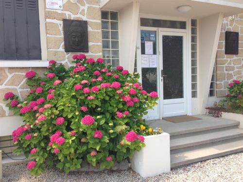 鲁瓦西昂法兰西鲁瓦西切酒店的粉红色花房的前门