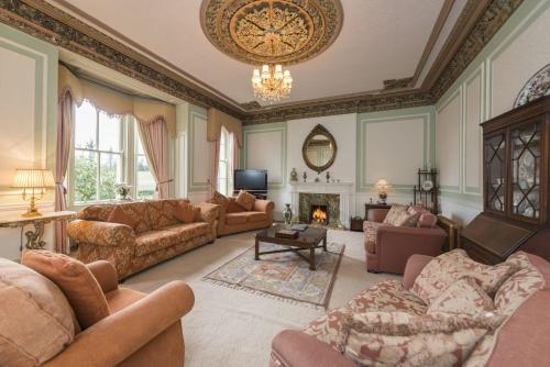 DonaghcloneyBanoge House的带沙发和壁炉的大型客厅
