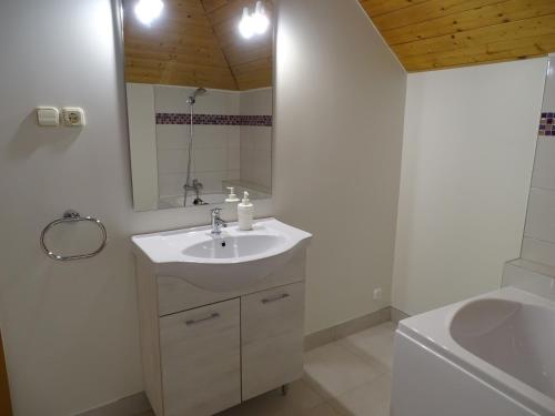 艾斯特根艾拉巴德斯帕兹奥公寓酒店的浴室配有盥洗盆、镜子和浴缸
