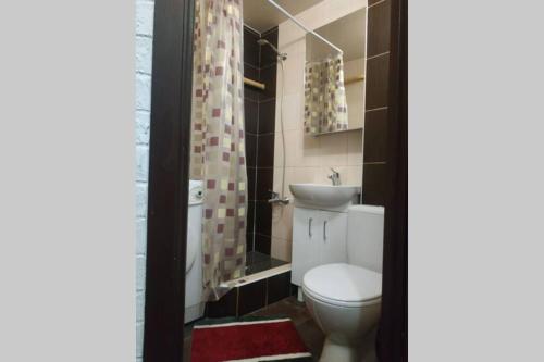 基辅однокомнатная квартира的浴室配有卫生间、盥洗盆和淋浴。