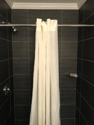 North Camellia AcresBay Inn Hotel的浴室内配有白色淋浴帘。