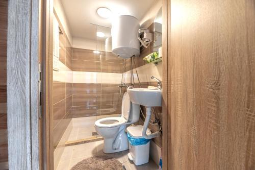 尼克希奇Studio apartment Dunja的一间带卫生间和水槽的小浴室