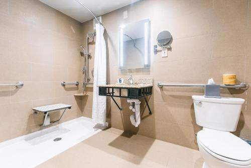哈里斯堡哈里斯堡赫尔希皇冠假日酒店的一间带卫生间和水槽的浴室
