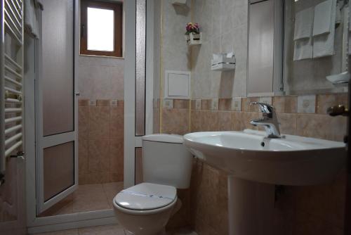 普罗夫迪夫文艺复兴广场家庭酒店的浴室配有卫生间、盥洗盆和淋浴。