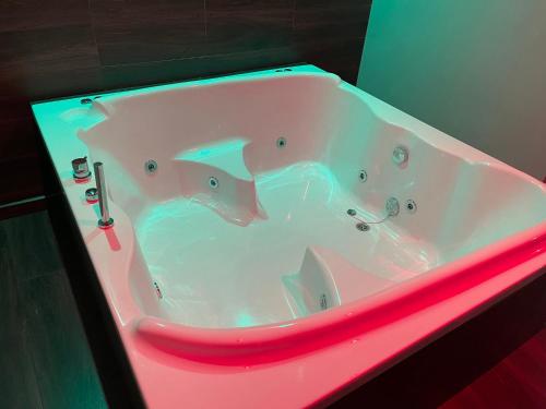 卡瓦利诺阿伦泰罗公寓酒店的粉红色的浴缸,里面有两个鸭子