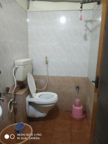 马杜赖Hotel Temple View Annex的一间带卫生间和粉红色柱塞的浴室