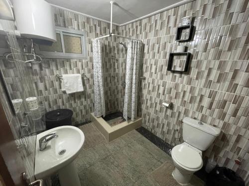雅温得Homestay Appartement 2 chambres的带淋浴、卫生间和盥洗盆的浴室