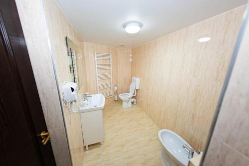 坎普朗莫道尼斯Casa Câmpulungeană的一间带卫生间和水槽的小浴室
