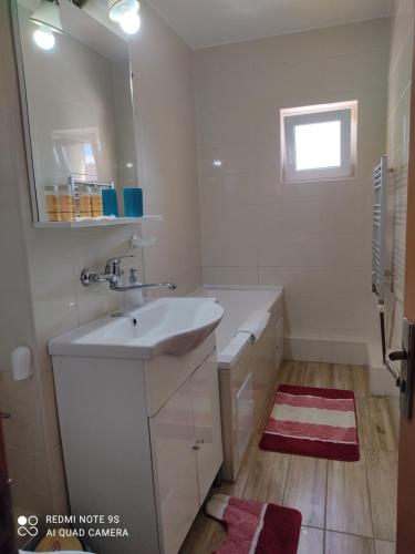 克卢日-纳波卡Apartment Farmec的白色的浴室设有水槽和镜子