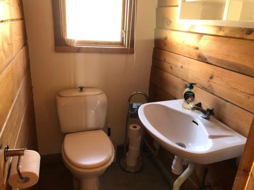 UndenäsThree Rooms stuga i stugby near National Park的一间带卫生间和水槽的小浴室