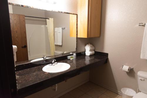 基林Premium Inn and Suites的一间带水槽、镜子和卫生间的浴室