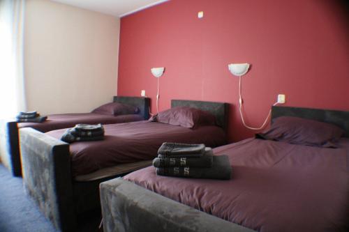 Sexbierum和谐酒店的红色墙壁客房的两张床