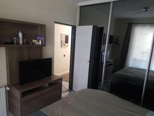 克卢日-纳波卡Central luxury apartment in Platinia Residence的一间卧室配有一张床、一台电视和一面镜子