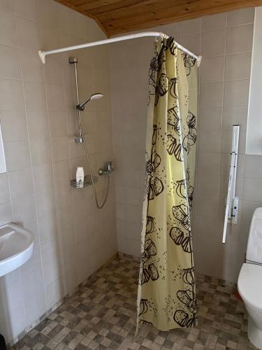 VokaKasteheina kodu的设有带卫生间的浴室内的淋浴帘