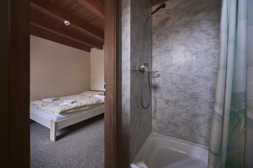 劳特布龙嫩Alpine Base Hostel - Adults only的带淋浴的浴室和客房内的一张床