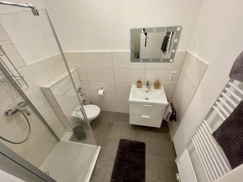 巴特塞森多夫Ferienwohnung Apothekerhaus的浴室配有卫生间、盥洗盆和淋浴。
