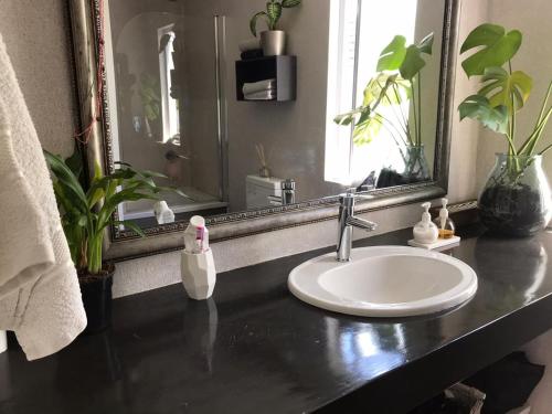 克尼斯纳Knysna Budget Friendly Stay的浴室的柜台设有水槽和镜子