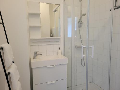 康布雷Studio 1 du Temple Hyper Centre的白色的浴室设有水槽和淋浴。