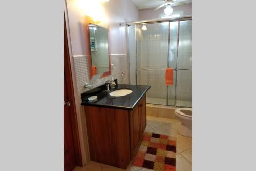斯卡伯勒Shalom apartment的一间带水槽、淋浴和卫生间的浴室