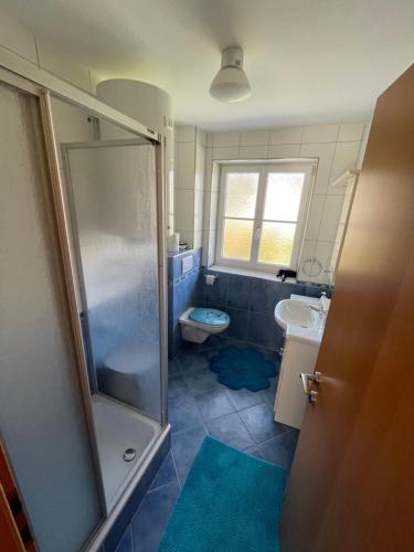旧明斯特Ferienwohnung am Traunsee的带淋浴、卫生间和盥洗盆的浴室