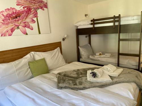 格舍嫩Hotel Weisses Rössli的一间卧室配有一张带两张双层床的床铺。