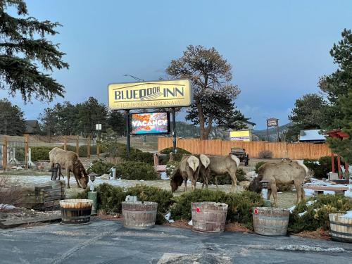 埃斯蒂斯帕克Blue Door Inn的一群动物在停车场放牧