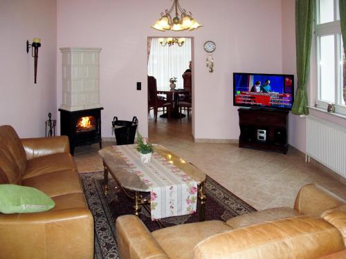 岑平Apartment Hortensie - ZEM108 by Interhome的带沙发、电视和壁炉的客厅
