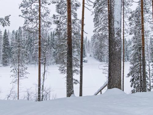 KotilaHoliday Home Lohiukko by Interhome的一片覆盖着树木和小径的雪覆盖的森林