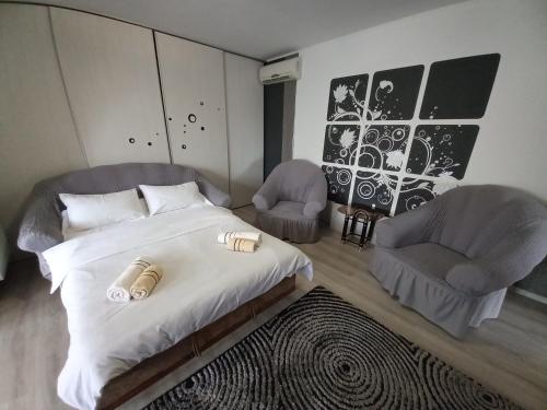 茹里洛夫卡Casa Crinei的一间卧室配有一张床和两把椅子