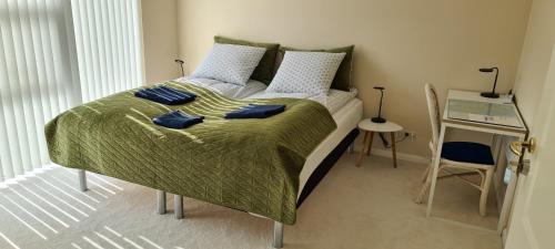 欧登塞Cichy Zakątek 2的一间卧室配有一张带蓝色枕头的床。
