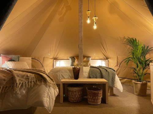 艾利亚德亚罗萨Glamping Illa de Arousa的帐篷配有一张床和一张桌子